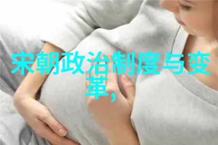 明朝历史之谜揭秘古代帝国的诡异面纱