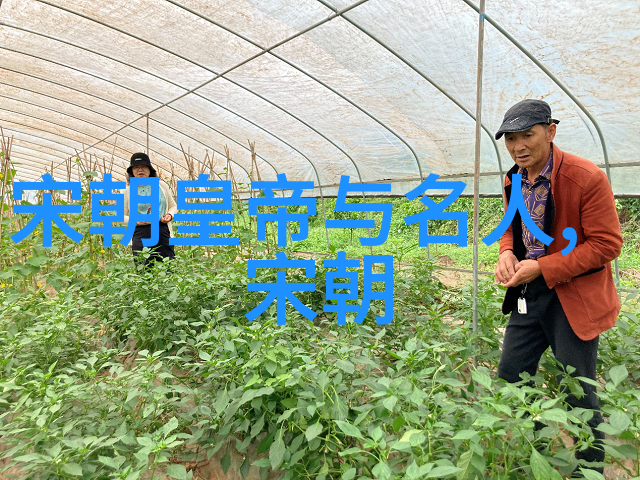 唐宣宗秘笈太极拳之顶头悬解密