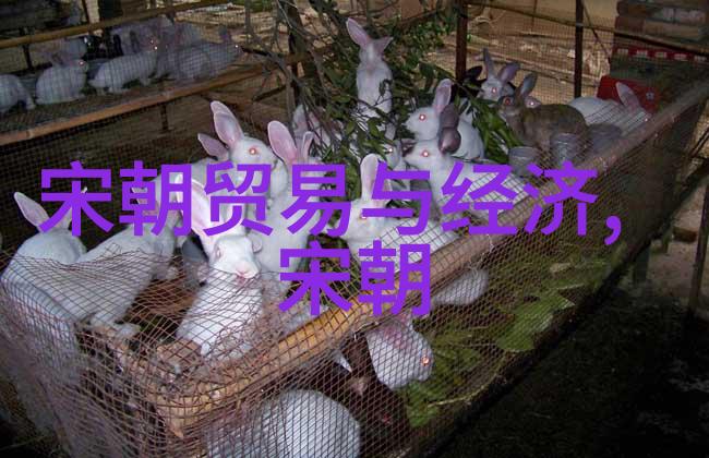 元朝盛世与民间苦难辽阔帝国之背后的隐秘
