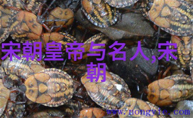 明朝灭亡背后的原因探究从万历到清初