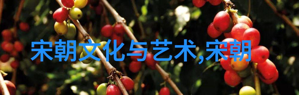 穿越千年揭秘中国历史上的神秘朝代