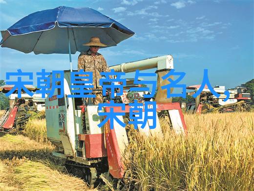 书法艺术属于什么艺术-探索中国传统文化的纹理与韵律