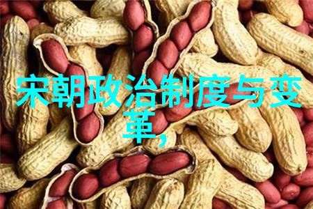 家谱中的智慧明朝族谱简图如何记录家史