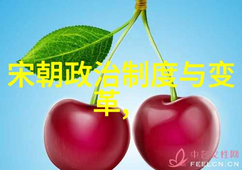 宋元明清时期政治经济社会的兴衰