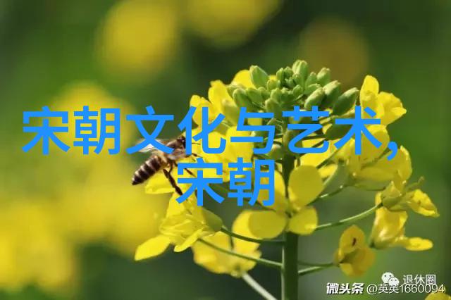 我探秘明朝的辉煌与影响从大运河到康乾盛世