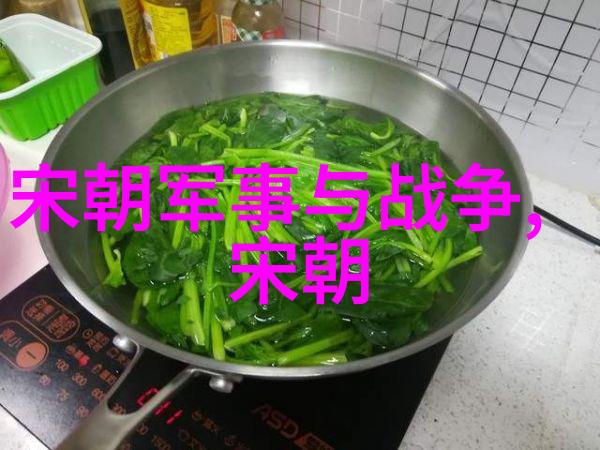 宋代历史事件-南宋灭亡的悲剧从林语堂到李纨的视角