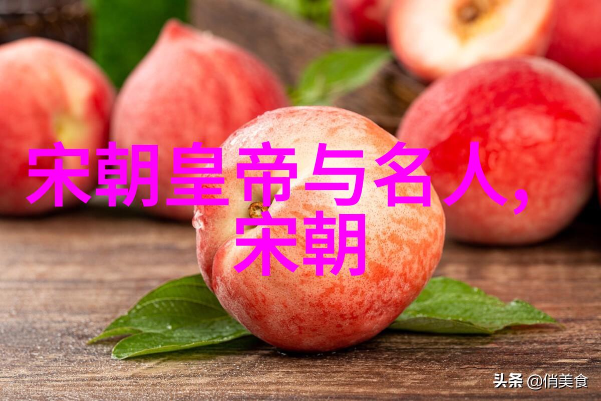 历史的赞歌宋朝专家们的热爱与赞誉