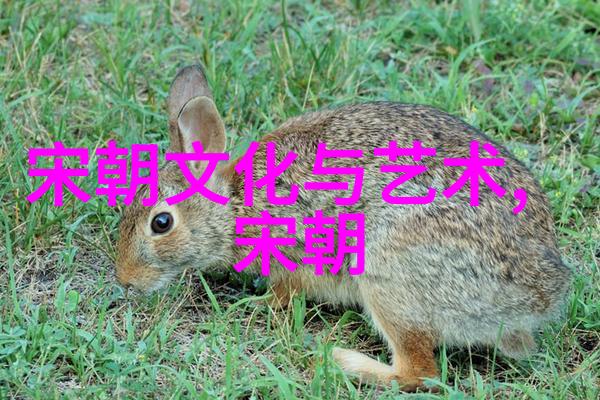 历史的回音国家如何通过纪录片传承文化遗产