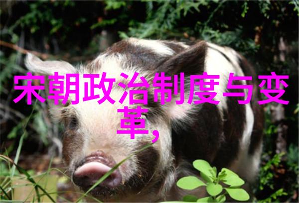 萧太后治辽
