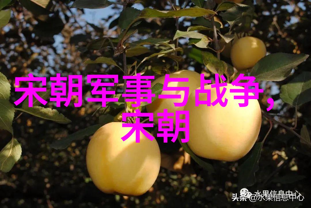 明朝历史看什么书最好-揭秘明朝史料全集与经典著作