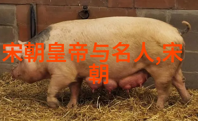宋朝最郁闷的皇帝是谁探寻宋孝宗与古地图之间的故事
