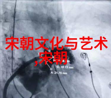 明朝那些曲折探秘王思聪的历史之旅