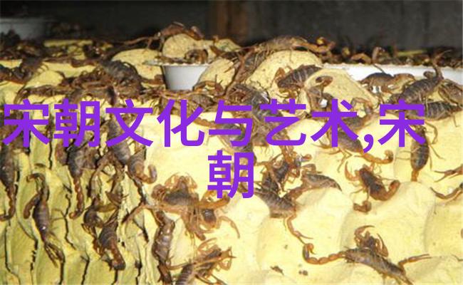 从征服到称号朱祁镇如何成为大明战神
