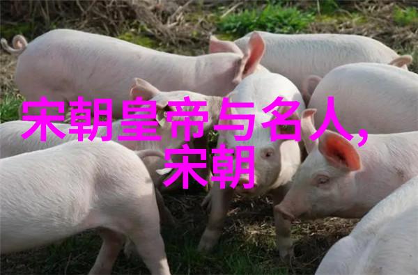 明朝风云录金句中的历史智慧