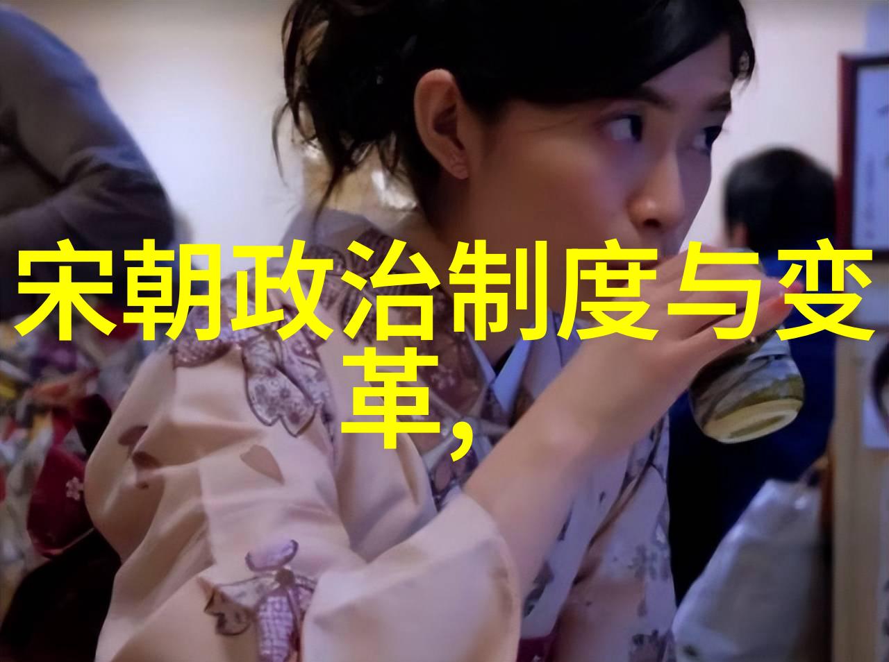 朝代轮回下的统一梦想宋朝的王权与一统之争