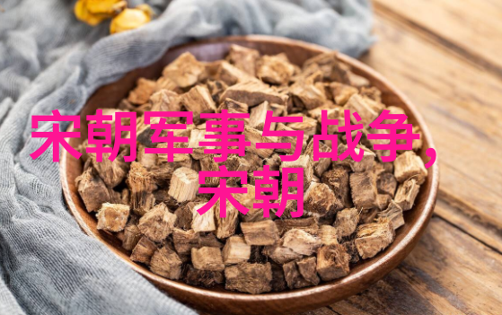 悠久的辉煌探索中国千年王朝的历史与文化