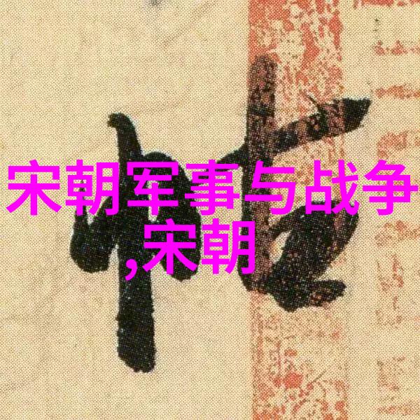 宋朝相关历史内容我亲手编织的历史故事从靖康之变到南宋的不屈抗争