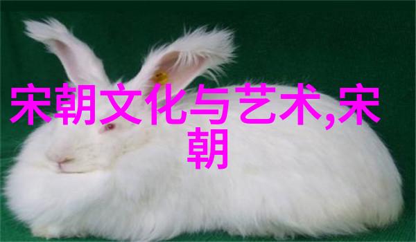 中国明朝历史简介中国明朝的兴衰沿革