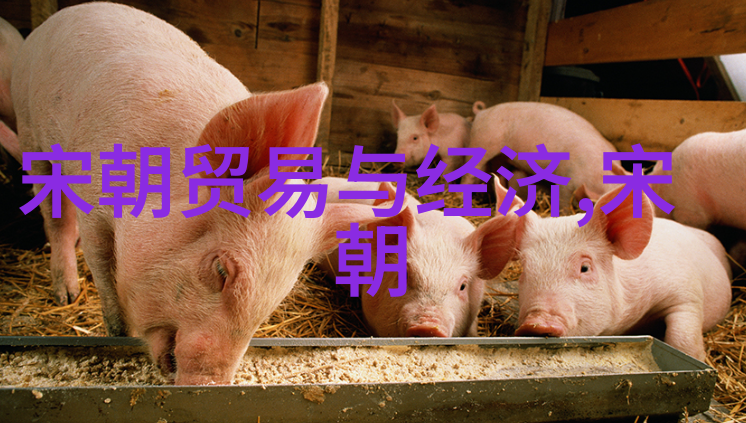 元朝属于中国咱们的元朝穿越时空的华夏脉动