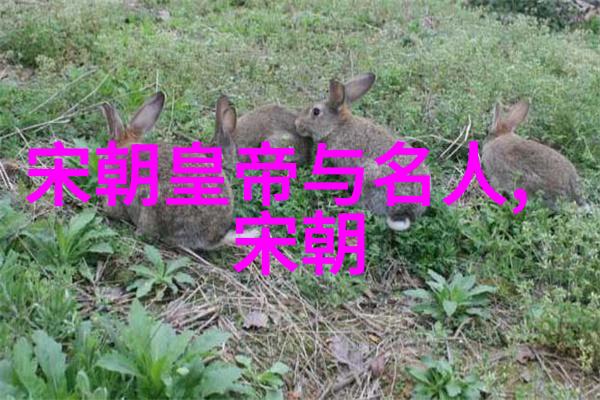 国姓爷这个称呼对于明朝士人来说意味着什么