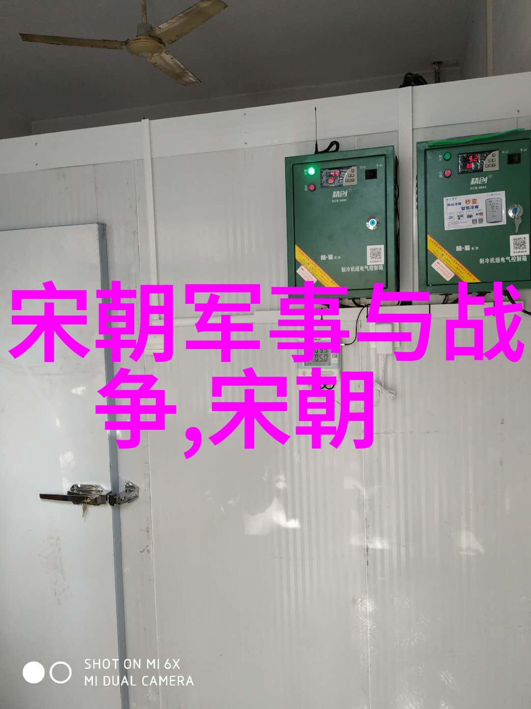 乾隆帝子嗣短命之谜健康与继承权的隐忧