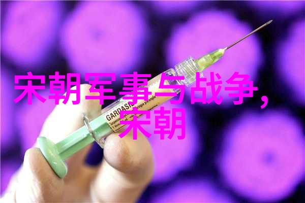 明朝辉煌盛世的序列图解