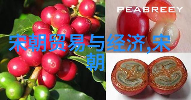 中国历史朝代变迁历程解析