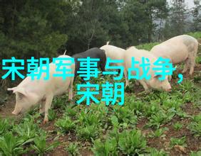 孔令侃tiexue领域的权威专家