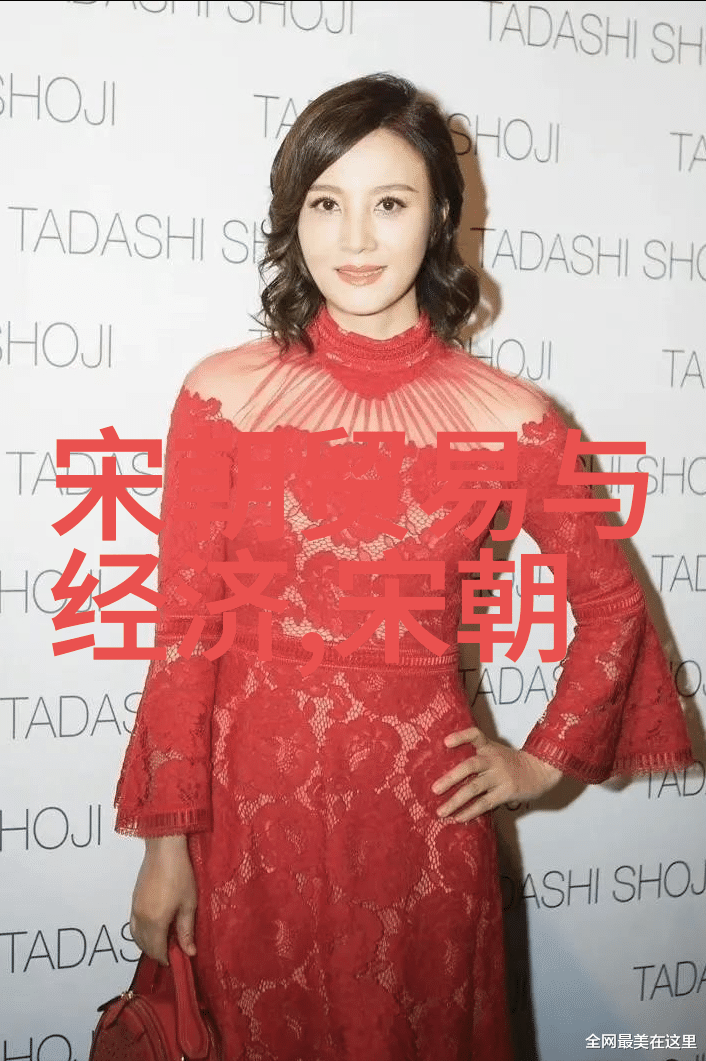 明朝风华录帝王辉煌与民生困扰