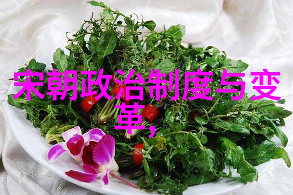 刘亦菲演的靖康电视剧叫-逆袭刘亦菲如何在历史剧中重现宋朝的悲欢
