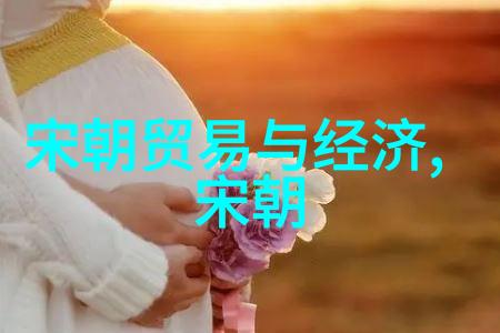 宫廷建筑艺术中的蒙古特色元大都考察