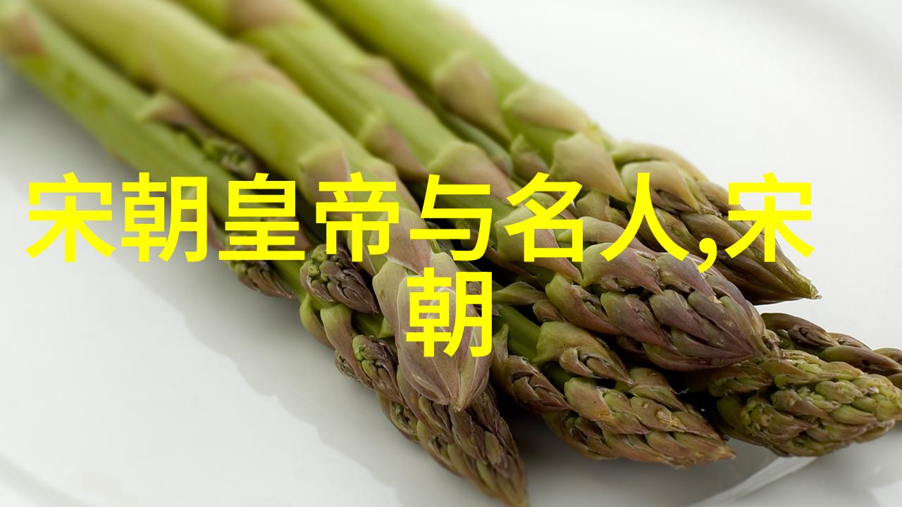 明朝画卷中的暗影与光辉