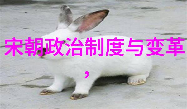 南宋与北宋历史的对照与光辉