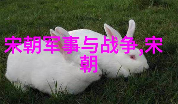 明朝那些事儿揭秘历史奇缘的全文探索