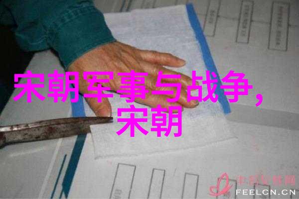 历史探秘-谁手中握定宋朝江山揭秘灭亡背后的黑暗力量