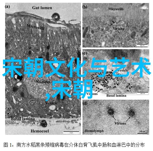 明朝列国排名与互动网络