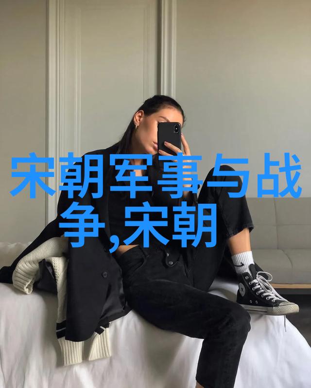 明清比较文治武功与文化繁荣的对照考量