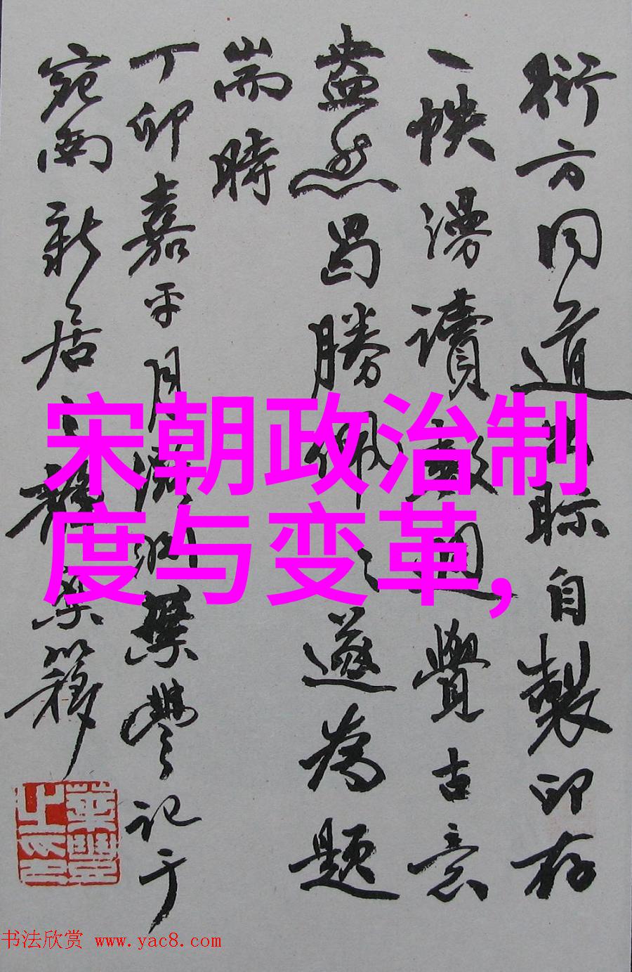 狐狸视频与丝瓜视频的无限魅力免费观看不再是梦