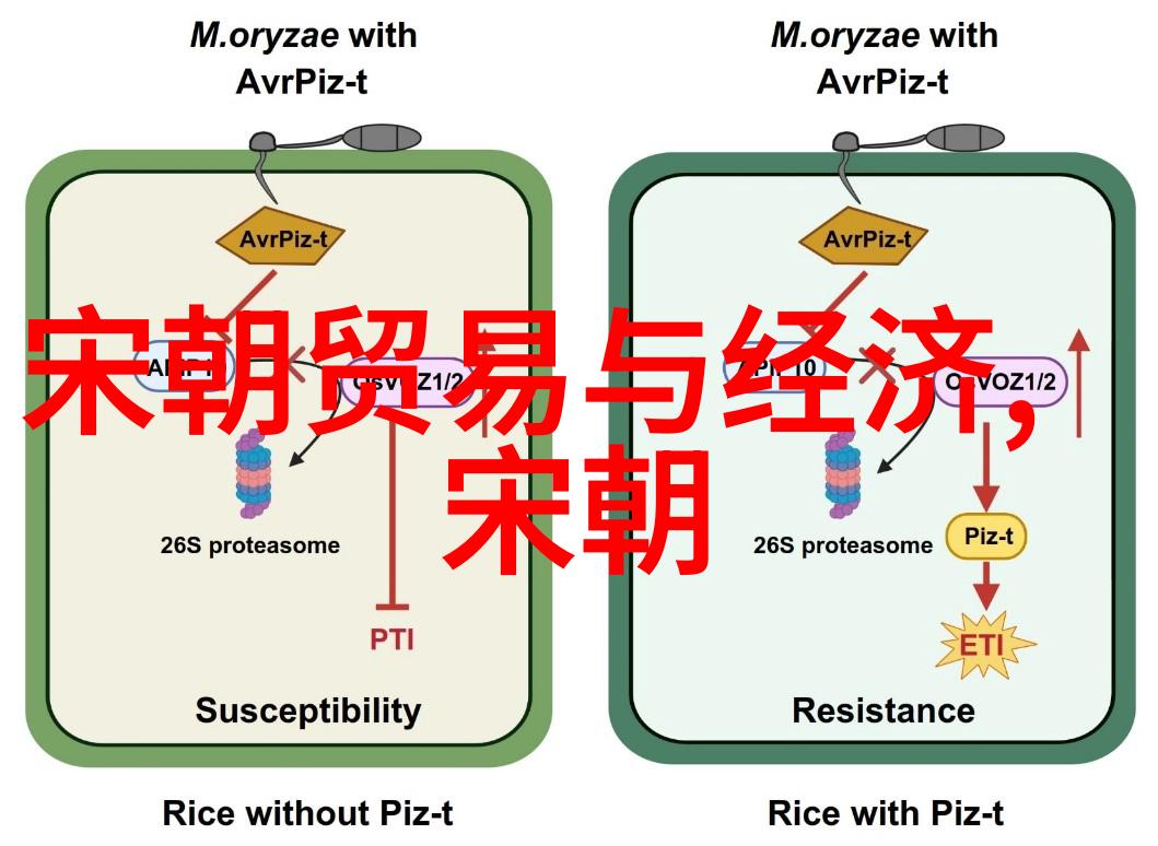 元朝是世界上最强大的国家吗中国历史帝国扩张军事力量经济贸易