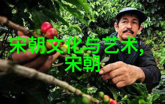 明朝君主龙影篆文