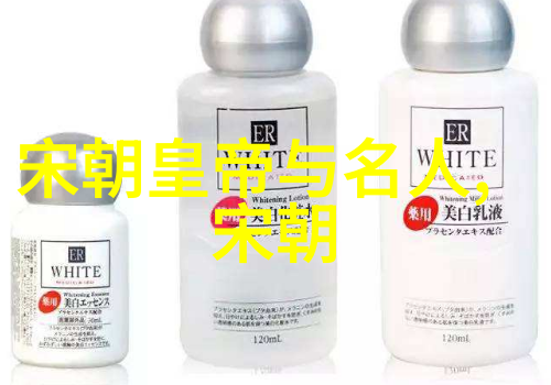 北宋末年金兵入侵与政局动荡的终结