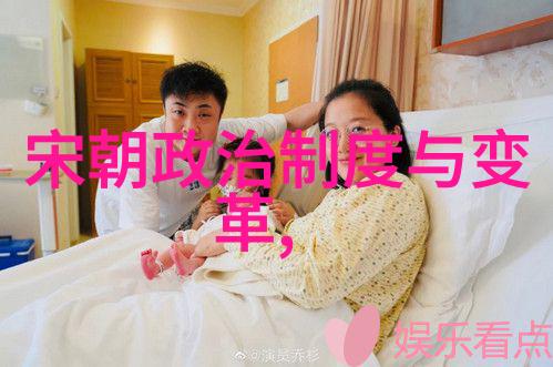 大明风华朱允熞的天命之旅