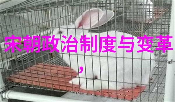 国学班探索古籍智慧之王献之