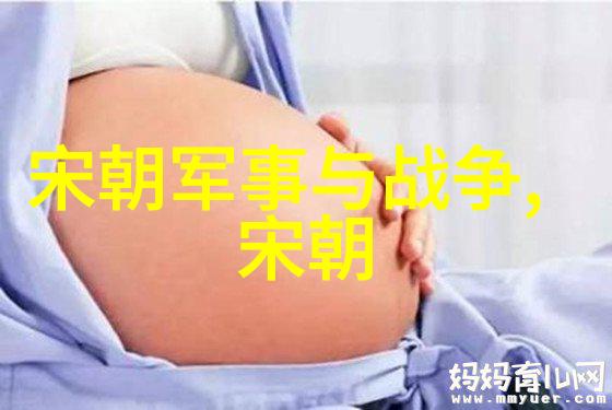 探秘明朝隐秘揭开历史之谜的窗扉