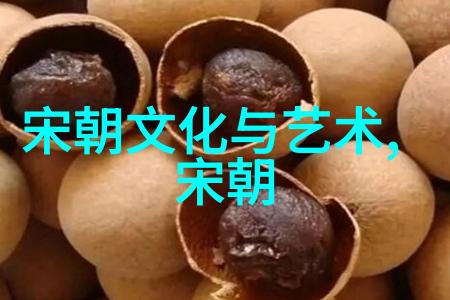 宋朝历代帝王简介从太宗至光宗十八位君主的兴衰史迹