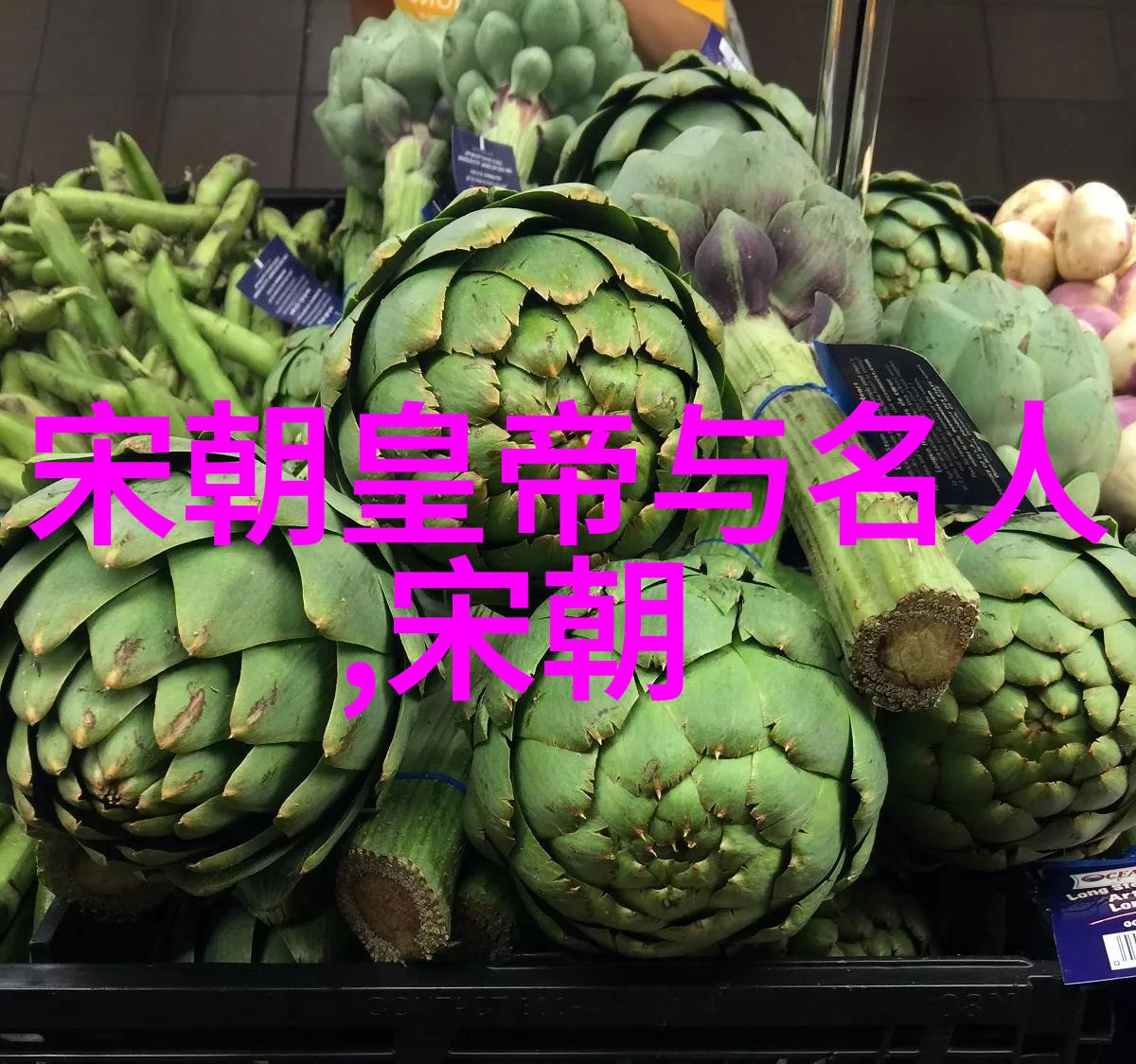 明朝最短在位帝王探秘嘉靖帝的夭折统治