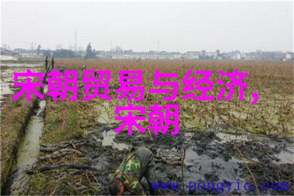 乾隆一生几个皇后龙凤和鸳鸯的宫廷交响曲