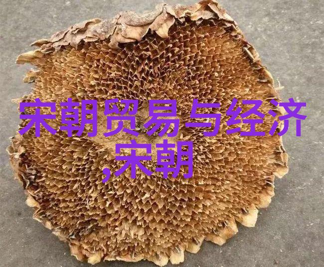 后金入关后的明朝宗室命运如何