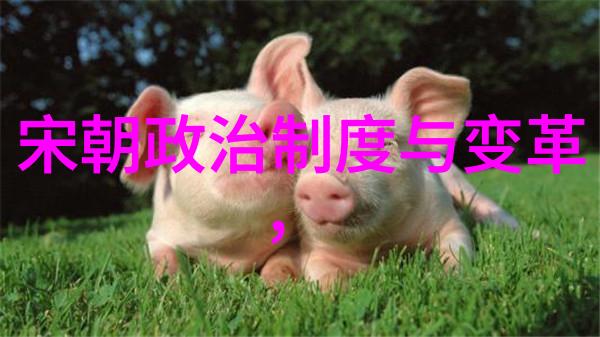 元朝征服与鼎盛揭秘蒙古帝国的基本史实