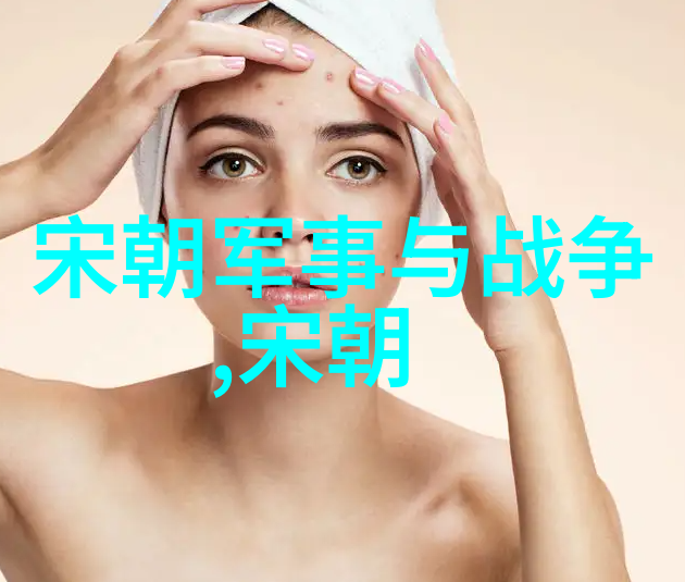 晋朝历史探究从惠帝到恭帝的兴衰变迁